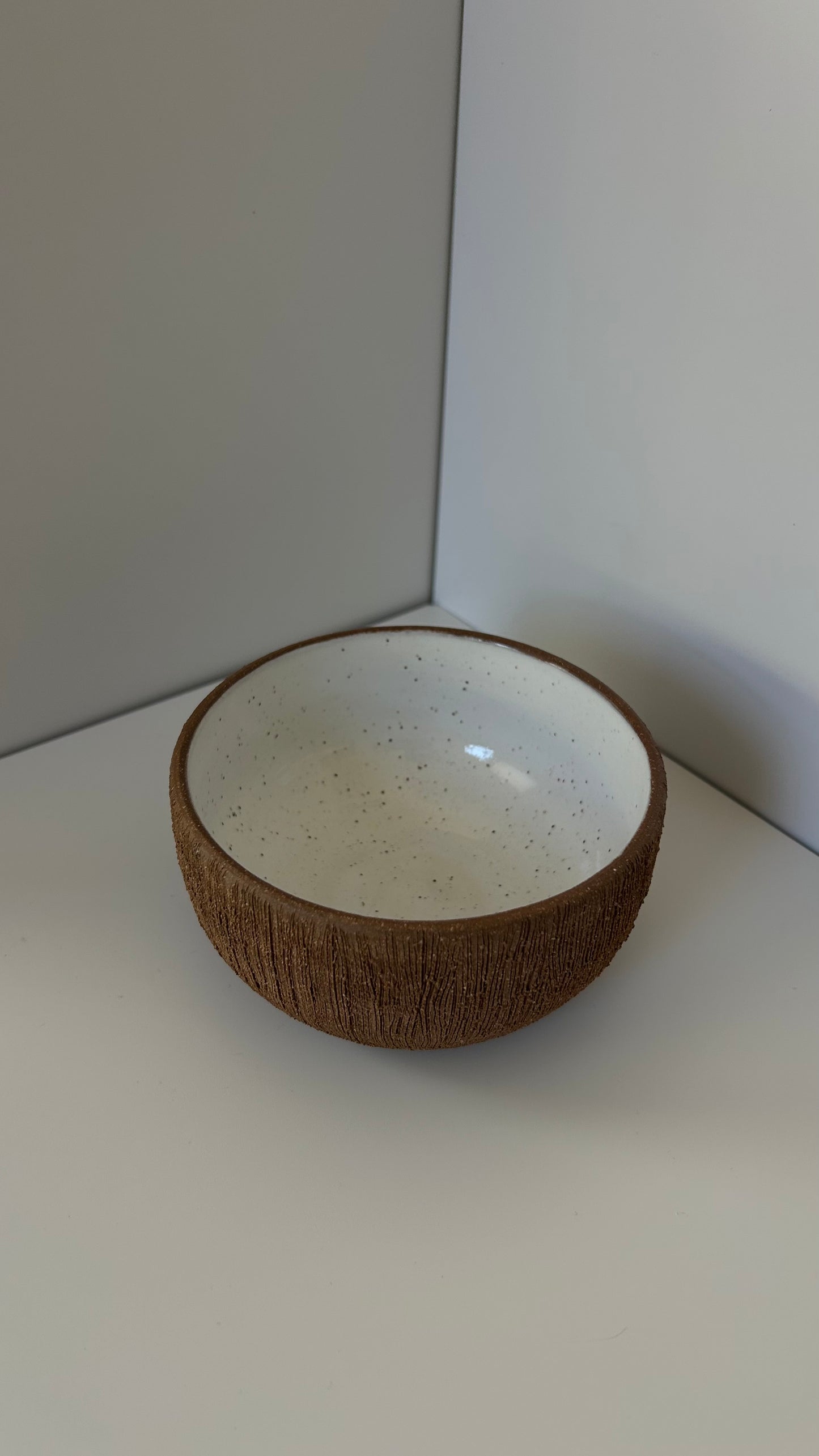 Coconut Bowl