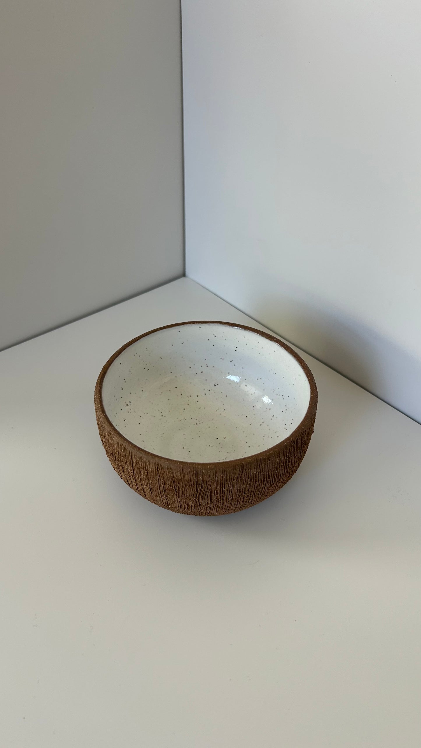 Coconut Bowl