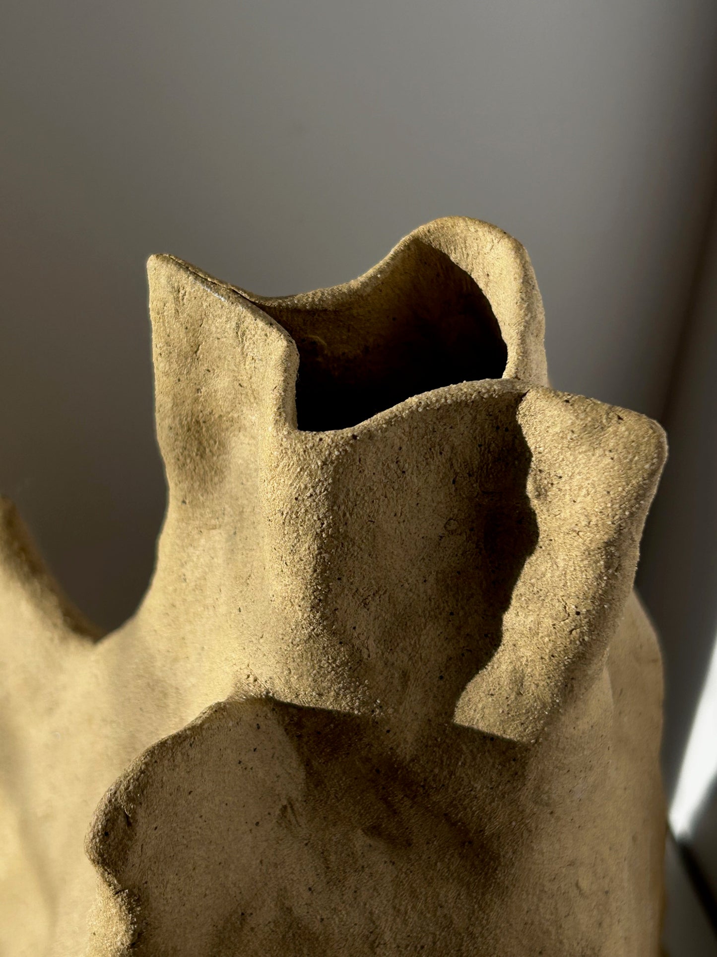 Organic Coil Vase