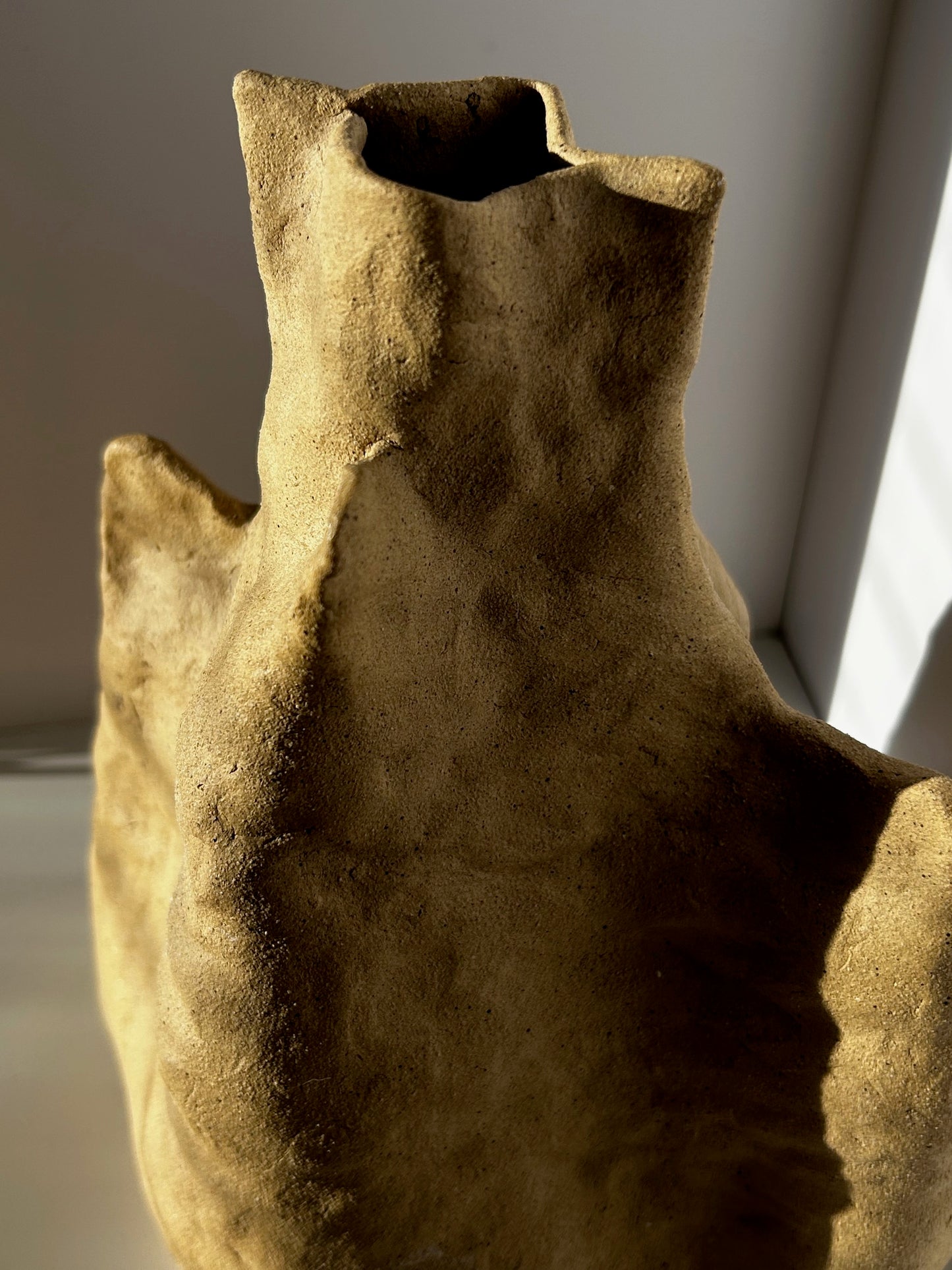 Organic Coil Vase