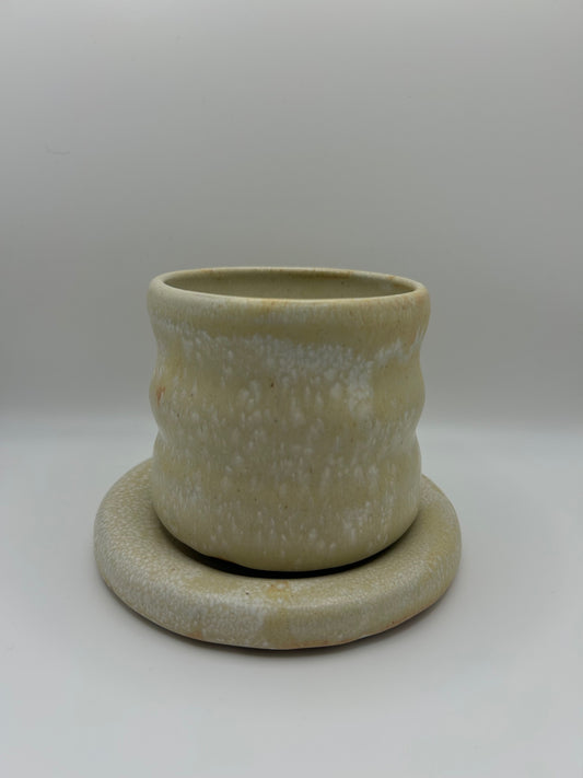 Bubble Plate and Cup Set